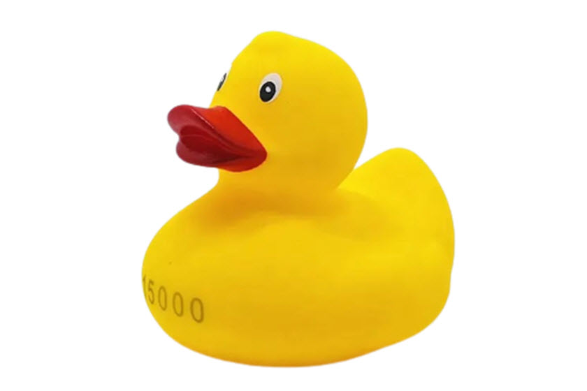 badeendjes bedrukken met naam