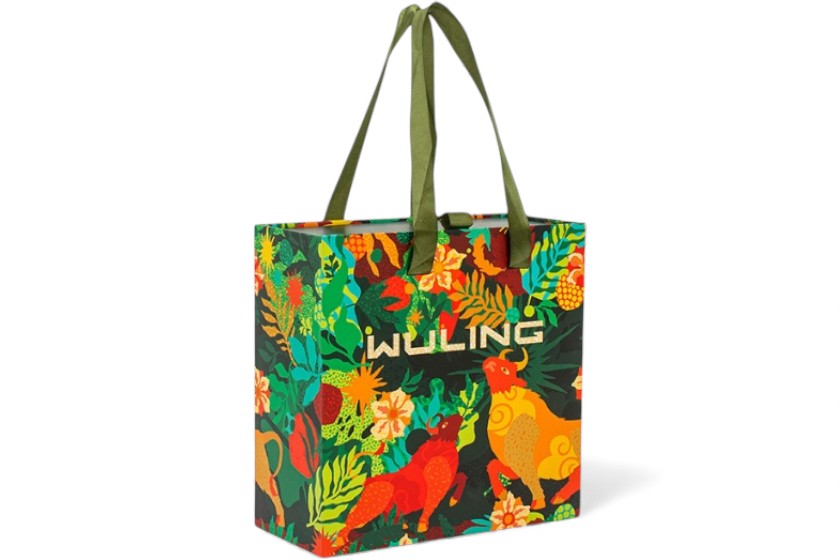 lange hengsels kleine boodschappentassen