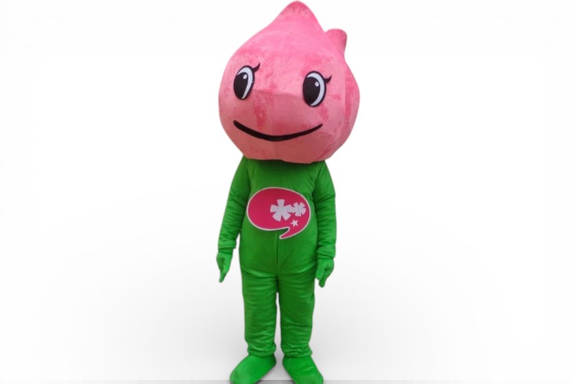 bloemenpak groente en fruitpakken