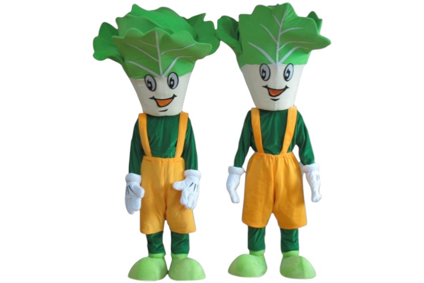 slapakken groentepakken